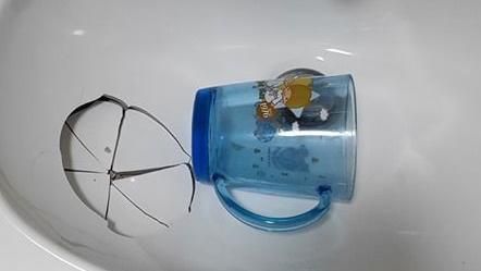 家中洗手台破大洞　凶器讓網友看傻眼