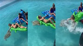 海龜,比基尼,辣妹,龜仙人,鱷魚,氣墊床,度假,色,美國, 圖／翻攝自YouTube