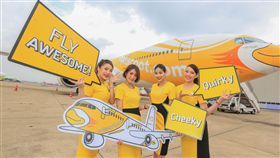 酷鳥,酷航。（圖／業者提供）