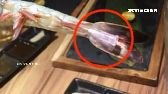 草蝦驚見「針頭」！顧客PO網憂食安