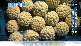 釋迦年產值10億！外銷美加50噸