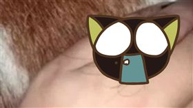 戒指,求婚,男朋友,未婚妻,頭髮,毛髮,禮堂,推特　圖／翻攝自推特