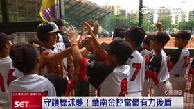 華南金控攜中華棒協　辦青少棒錦標賽（業配）