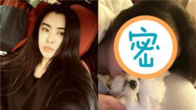 王祖賢（圖／翻攝自臉書）