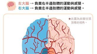 中風危險因子無差別在　帥醫：別鐵齒