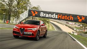 ▲Alfa Romeo Stelvio Quadrifoglio（圖／翻攝網路）