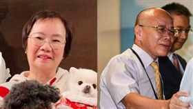 羅淑蕾，張景森