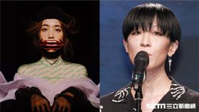 陳珊妮、蔡依林。（合成圖／記者邱榮吉攝影、索尼提供）