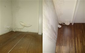 租屋,香菇,牆角,潮濕,Dcard　圖／翻攝自Dcard