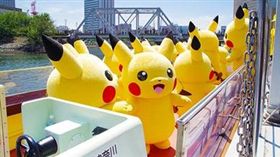 皮卡丘大量發生中 圖/寶可夢官網