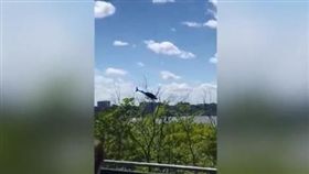 墜河,紐約,直升機（圖／翻攝自DailyMail）