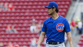 小熊達比修有。（圖／美聯社／達志影像）