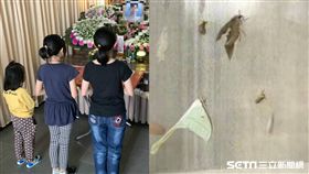 三姊妹失去媽媽、飛蛾／林清良提供、資料照