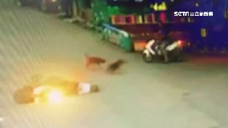 騎車遭野狗撞！老婦臉著地當場昏迷