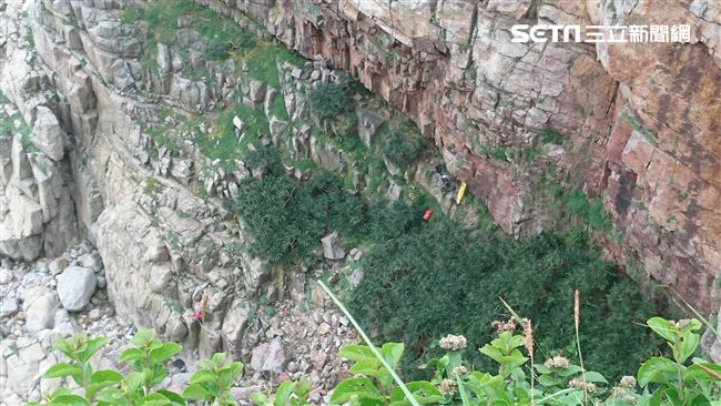 龍洞攀岩場2人墜崖　消防搭繩救援