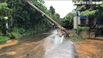 新竹暴雨／強風襲擊…山區電線桿腰折