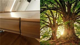 網購,家具,生長 圖／爆料公社二館;Pixabay