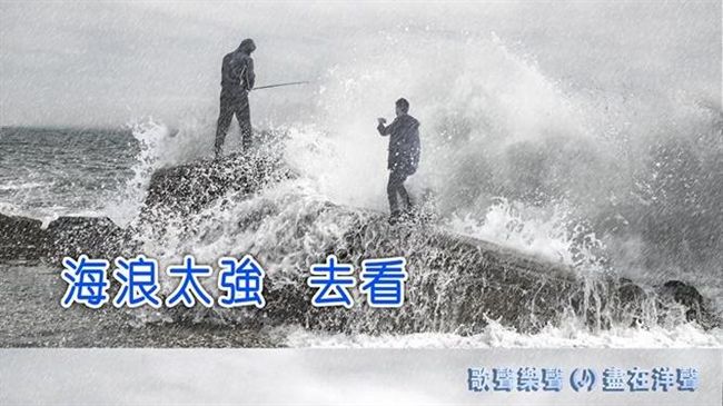 海巡署這貼文太有才　網：這圖有聲音