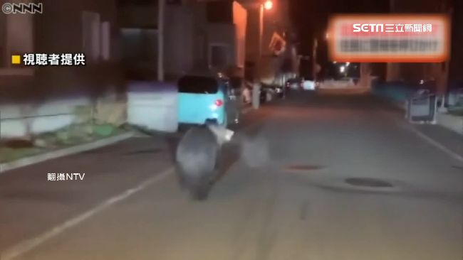 開車撞上熊！北海道爆「熊熊危機」