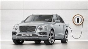 ▲Bently Bentayga Hybrid（圖／翻攝網路）
