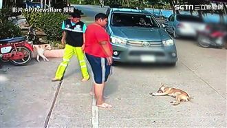 懶狗賴在路中央不走　男子伸手秒扛走