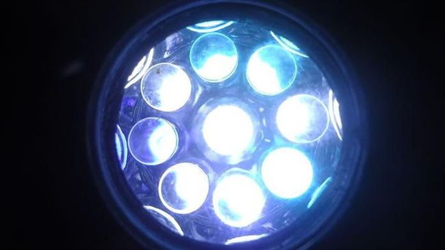 LED藍光過強！恐造視網膜永久損害