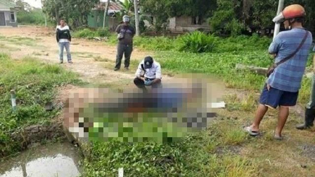 為閃躲路上暴衝豬　年輕郵差墜溝慘死