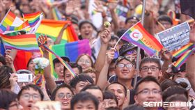 同婚專法三讀,立法院場外,力挺聲援群眾歡呼,（圖／記者林士傑攝影）