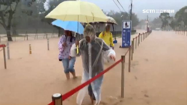 豪雨淹中台　陸客涉水出遊喊：好玩！