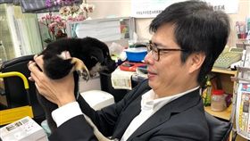 陳其邁抱狗（圖／翻攝自陳其邁 Chen Chi-Mai 臉書）