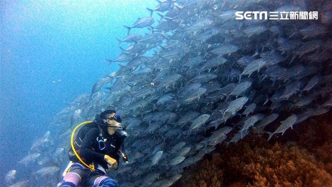 巧克力山騰空衝浪　再遇傑克魚風暴