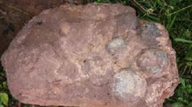 4男大生後山散步 驚見6顆恐龍蛋化石（圖/翻攝自微博）