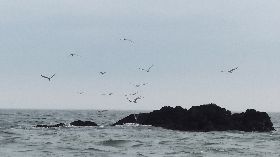 燕鷗先遣部隊抵馬祖