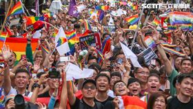 同婚、專法、同志(圖/記者林士傑攝)
