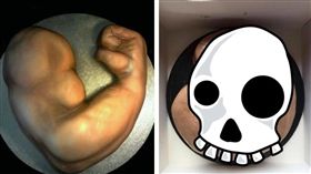 網購造型蛋糕慶生　打開一看竟收「死胎」
鏡報