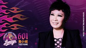 黃小琥動紫趴演唱。(圖/桃猿提供)