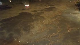 高雄,愛河,韓國瑜 圖/讀者郭先生提供