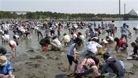 中客撲日狂挖生蠔