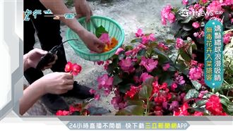 花卉入菜簡單調理　農場轉型嬌客吸睛