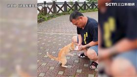 徐文良救援小橘貓。