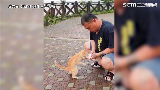 救援途中被橘貓撒嬌狂蹭　他霸氣收養