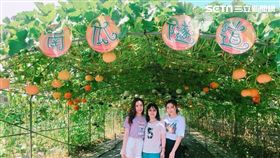 新北市農業局,淡水區農會,淡水,彩虹南瓜隧道,農業旅遊,南瓜隧道