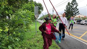 嘉義鹿草土芒果結實纍纍　封街二度打芒趣（1）嘉義縣鹿草鄉167縣道往朴子道路兩旁種滿土芒果行道樹，近期芒果樹結實纍纍，嘉義縣長翁章梁（前右）拿著長竹竿等工具，與鄉親體驗採芒果樂趣。中央社記者黃國芳攝　108年5月18日
