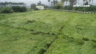 大雨農損3千萬！首出動空拍機勘災