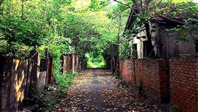 歷史人文聚落再利用　雲林規劃影視音空間（1）雲林縣政府21日表示，「歷史人文聚落影視音展演體驗計畫」獲得文化部核定補助，將執行虎尾建國眷村（圖）的影視音空間規劃利用。（雲林縣政府提供）中央社記者葉子綱傳真  108年5月21日