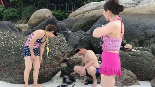 中國遊客「用木棍戳海膽玩弄」惹網怒