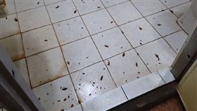 蟑螂,水煙,滅門慘案,爆廢公社　圖／翻攝自臉書爆廢公社