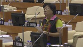 屏東,台灣燈會,陸月嬌,質詢,產值