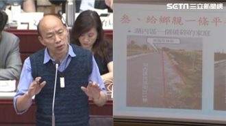 蛋白區沒路平？議員哽咽轟死人才做！