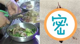 鹽水雞裡的蜈蚣鹿角菜（圖／翻攝自爆怨公社臉書）